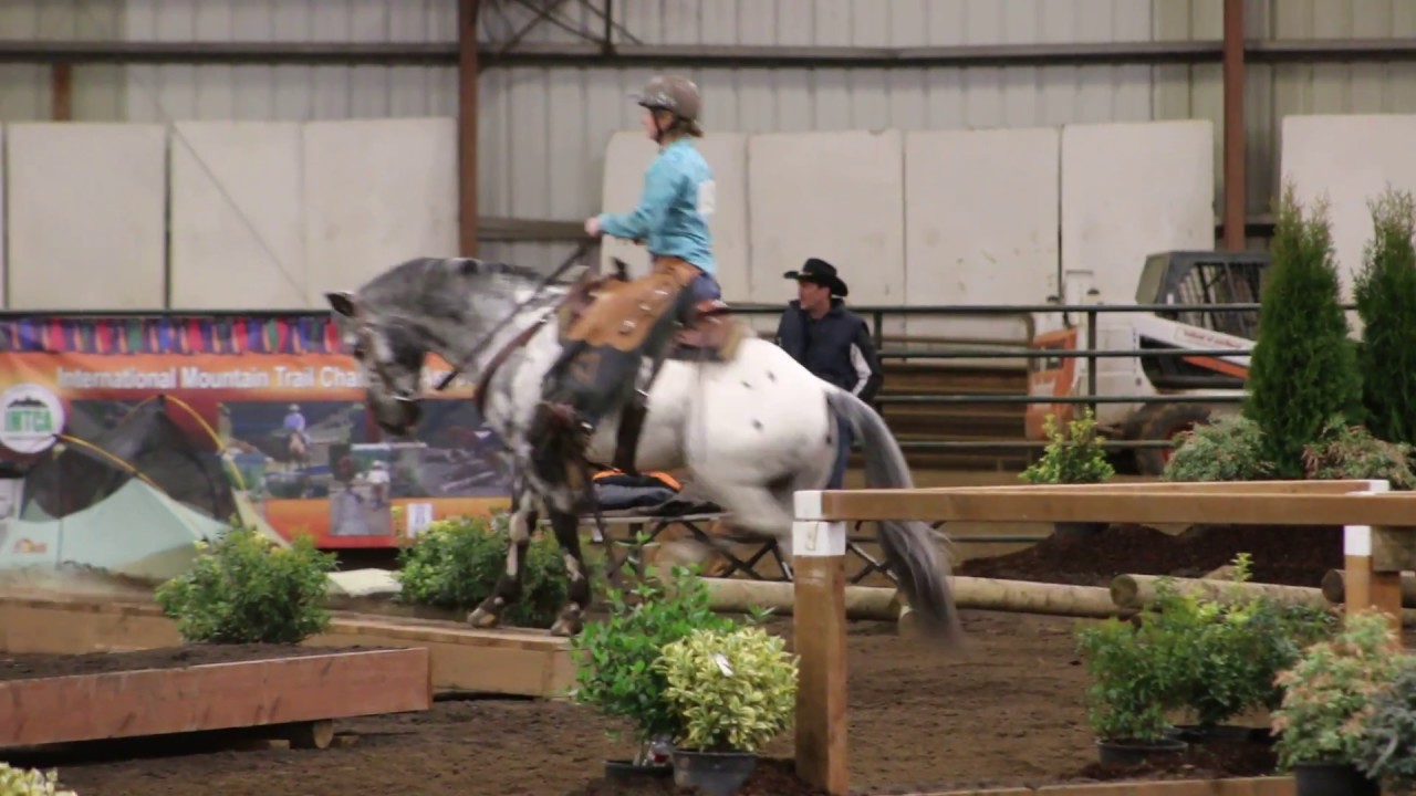 Smart Little Sign Mountain Trail Finals 2017