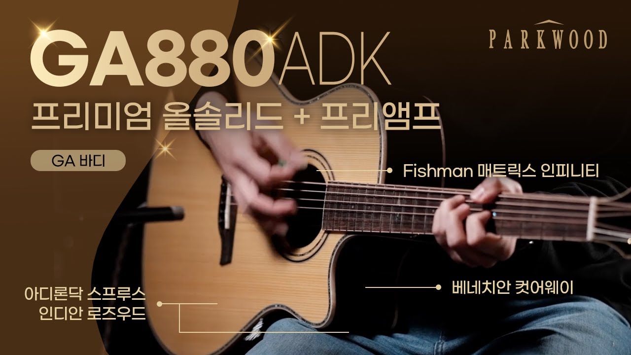 GA880ADK | 아디론닥 스프루스 + 인디안 로즈우드 + 피쉬맨 매트릭스 픽업