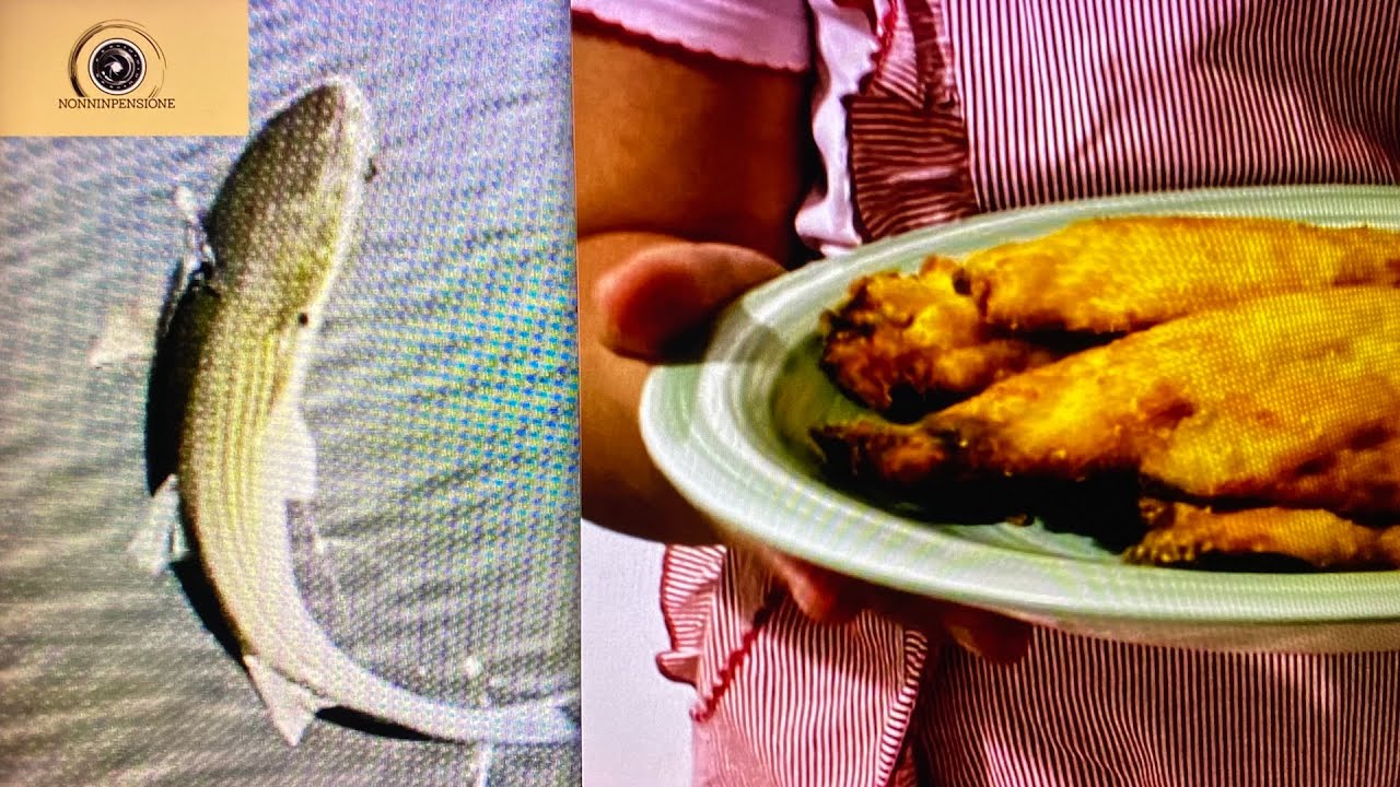 Dalla pesca del Cefalo al filetto fritto