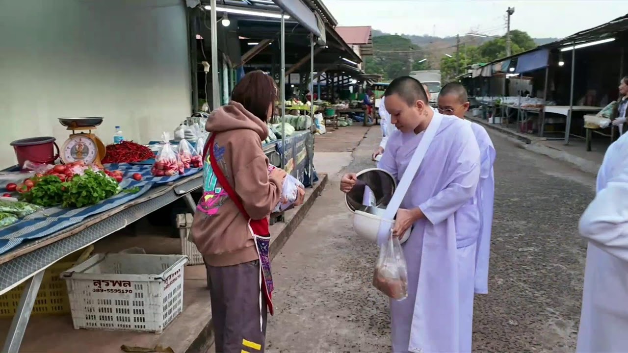 บิณฑบาตยามเช้า 29-01-69