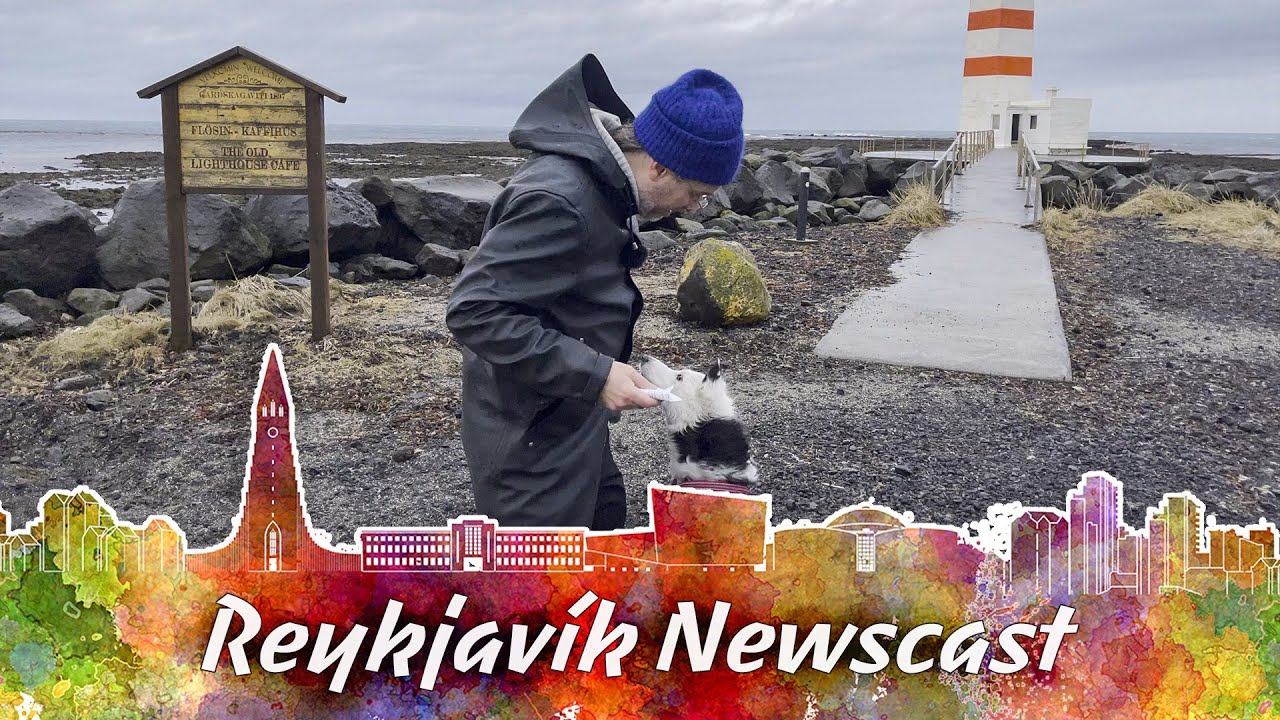 RVK Newscast #83: 3,000 Earthquake in One Day & Stranded Humpback Whale in Garður