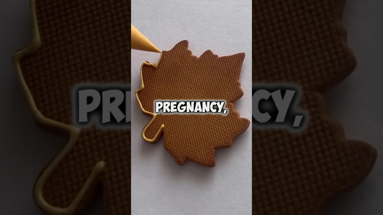 I Didn’t Tell My Husband That My Old Friend Was Actually My Ex Now I’m Pregnant with Twins #reddit