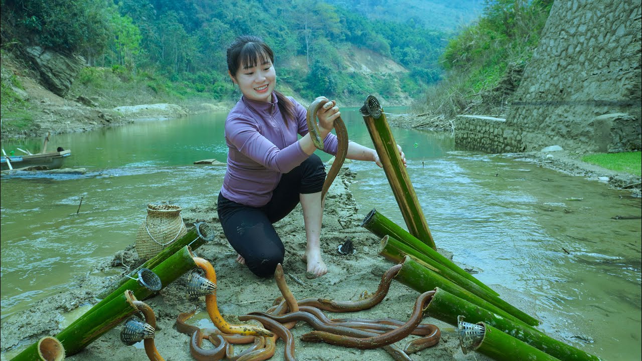 Life on the Lake: How to Catch Eels in Freshwater