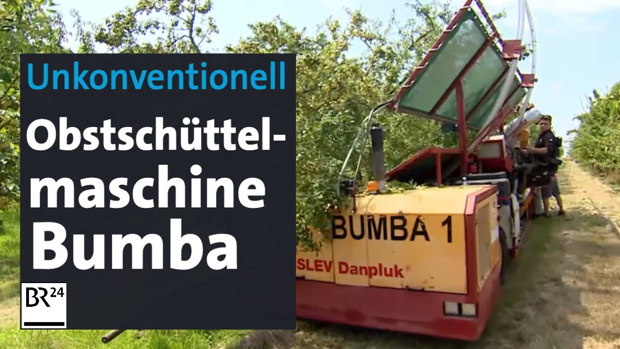 Die etwas andere Erntemaschine: Erntet Zwetschen, Mirabellen, Schwarzkirschen in Sekunden ab | BR24