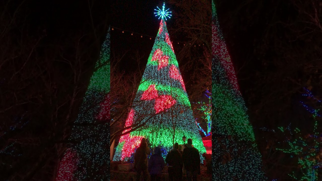 Silver Dollar City - Christmas Tree (11/23/19)