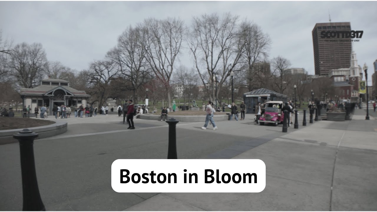 👉 Exploring Downtown Boston:  From a Dunkin Spill to Historic Streets