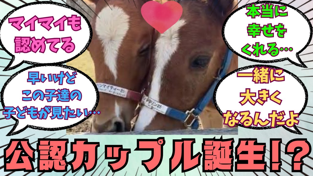 ★祝3万回突破★【マリマイ】子ども同士が仲良し♡に対する競馬好きの反応【競馬の反応集】