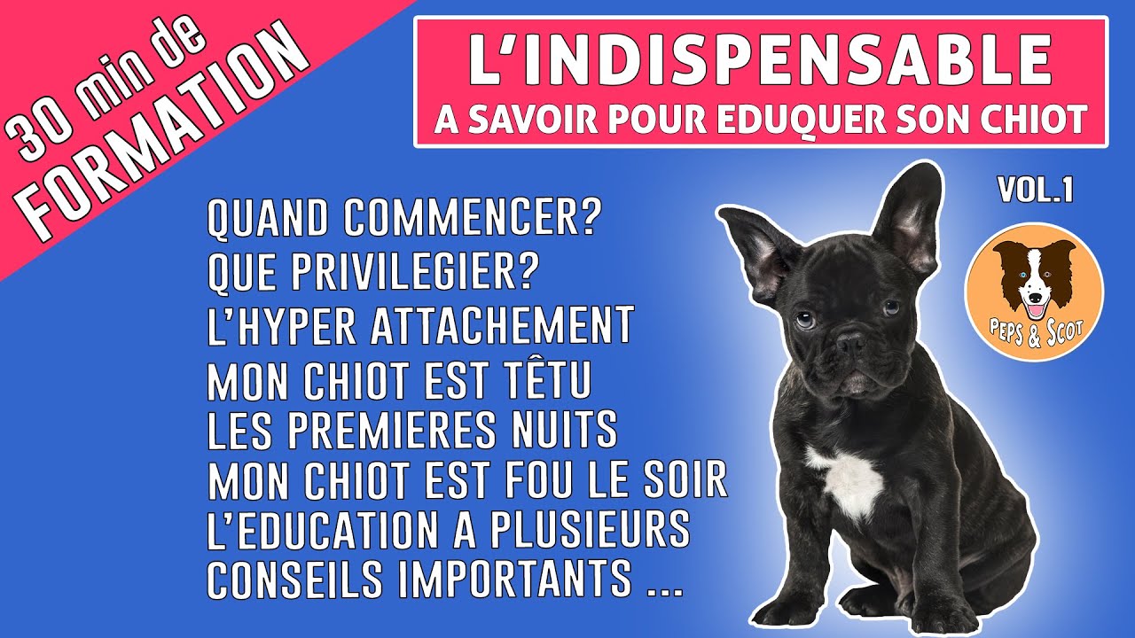 COMMENT ÉDUQUER SON CHIOT - L'INDISPENSABLE