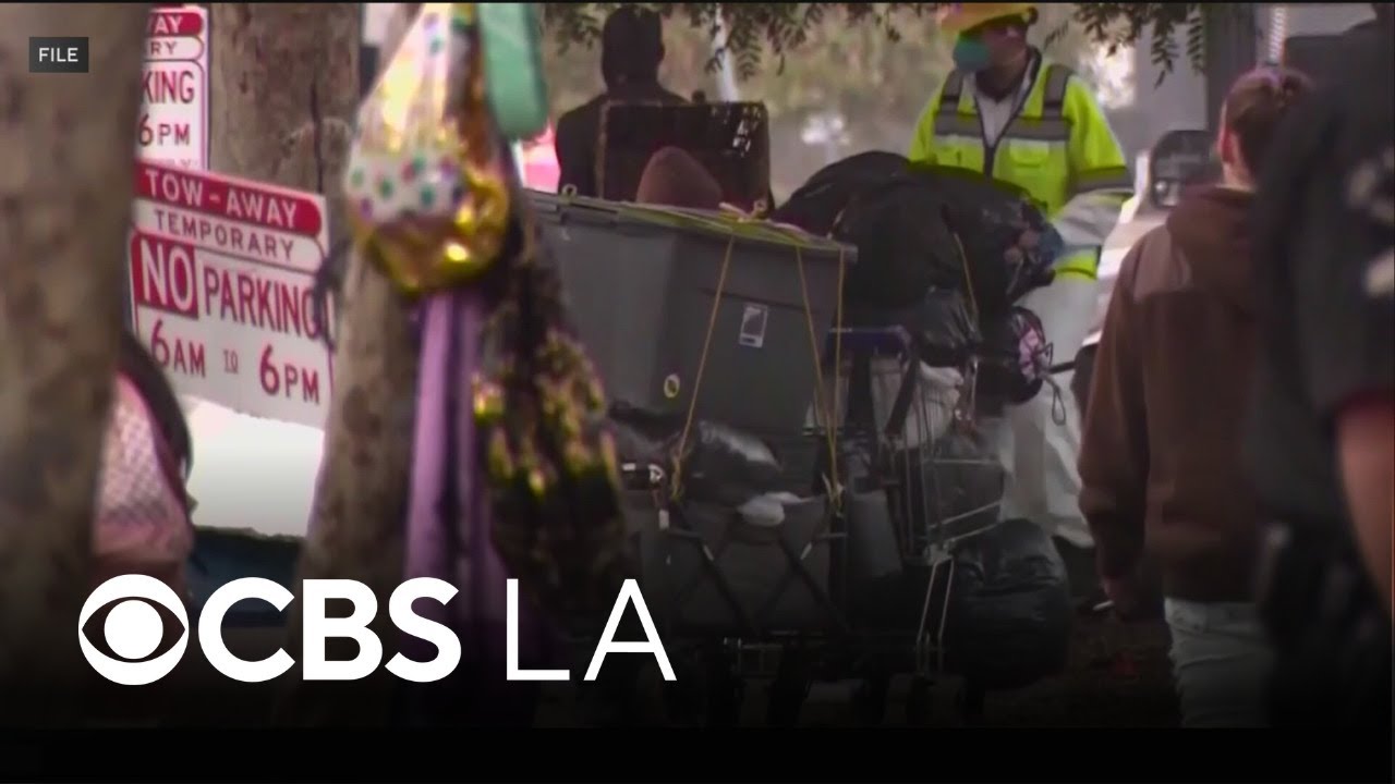 Volunteers begin Los Angeles' annual homeless count