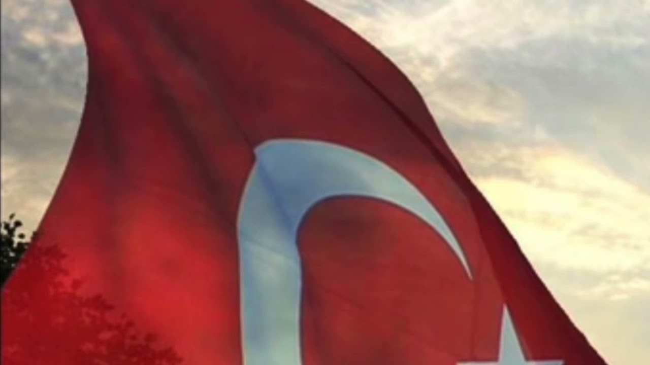 ALAY MARŞI - AYNUR EZGİ YÜKSEL