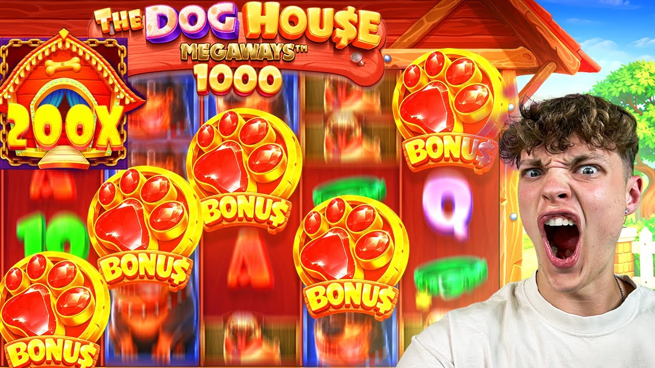 RECORD 5 SCATTER BONUS ON DOG HOUSE MEGAWAYS 1000!