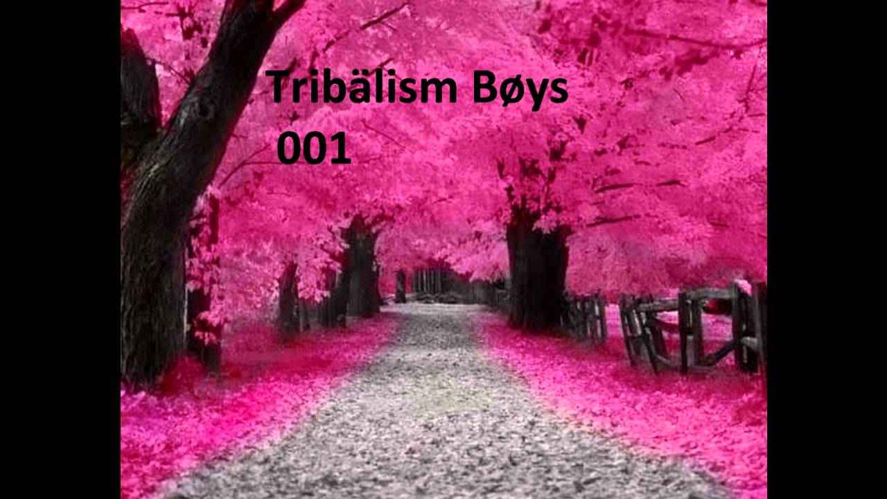 Tribalism Boys - Micci Love [ Foot lovers music ]