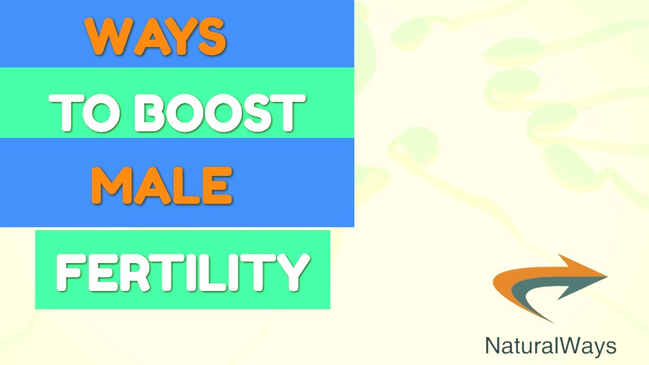 Boosting Male Fertility - Tips For Men To Improve The Chances Of Fertilizing Your Mate Eas
