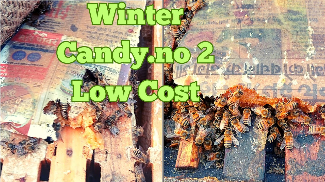 How to make winter candy no.2 for Bees||Feeding bees in winter_Making candy