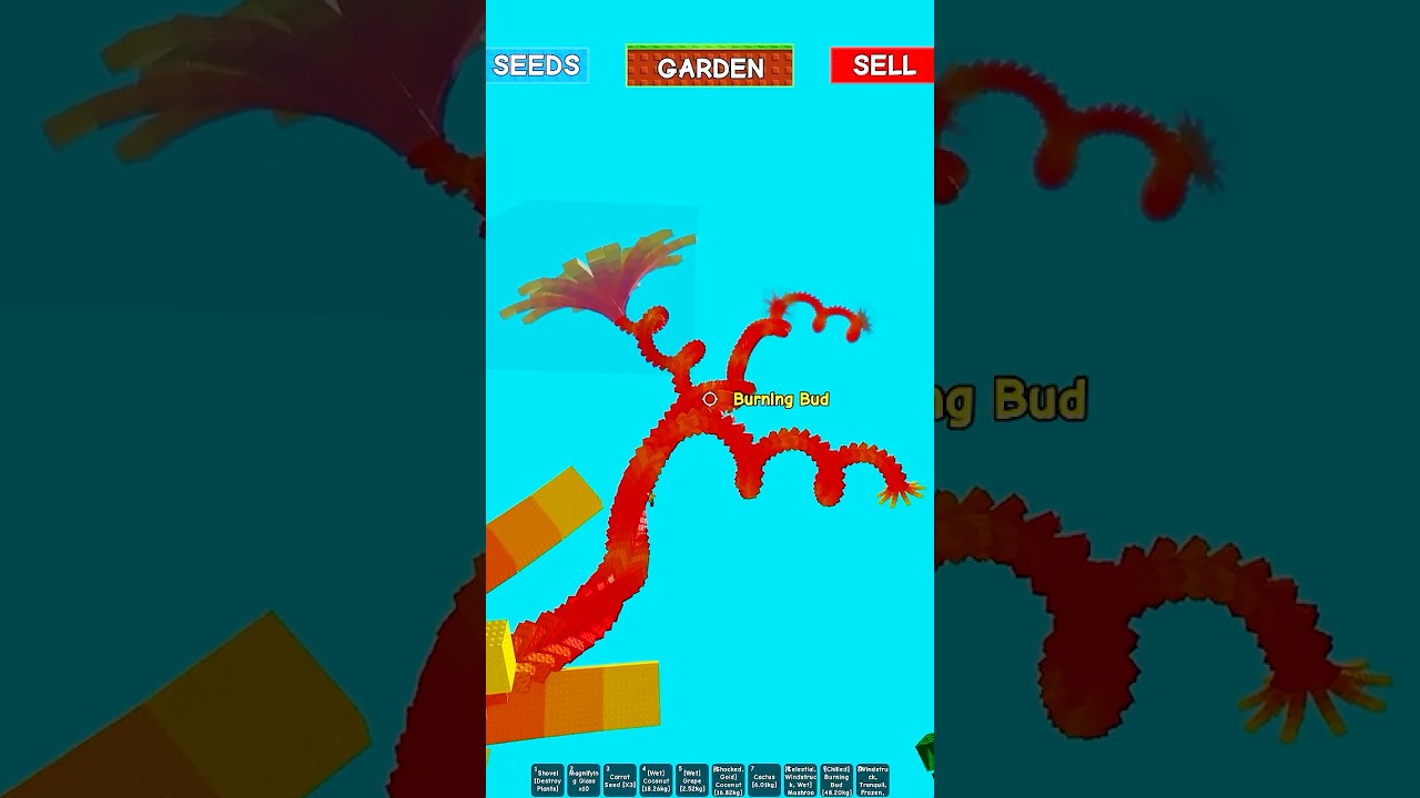 Самый большой Burning Bud в Roblox Вырасти Сад Grow a Garden!