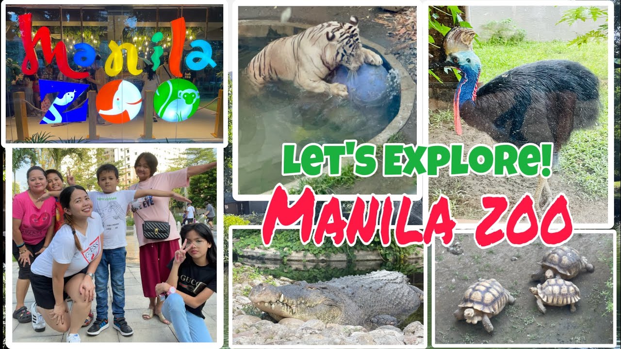 THE NEW MANILA ZOO | A-Must Visit Tourist Spot in Manila | Complete Travel Guide, Info & Tips