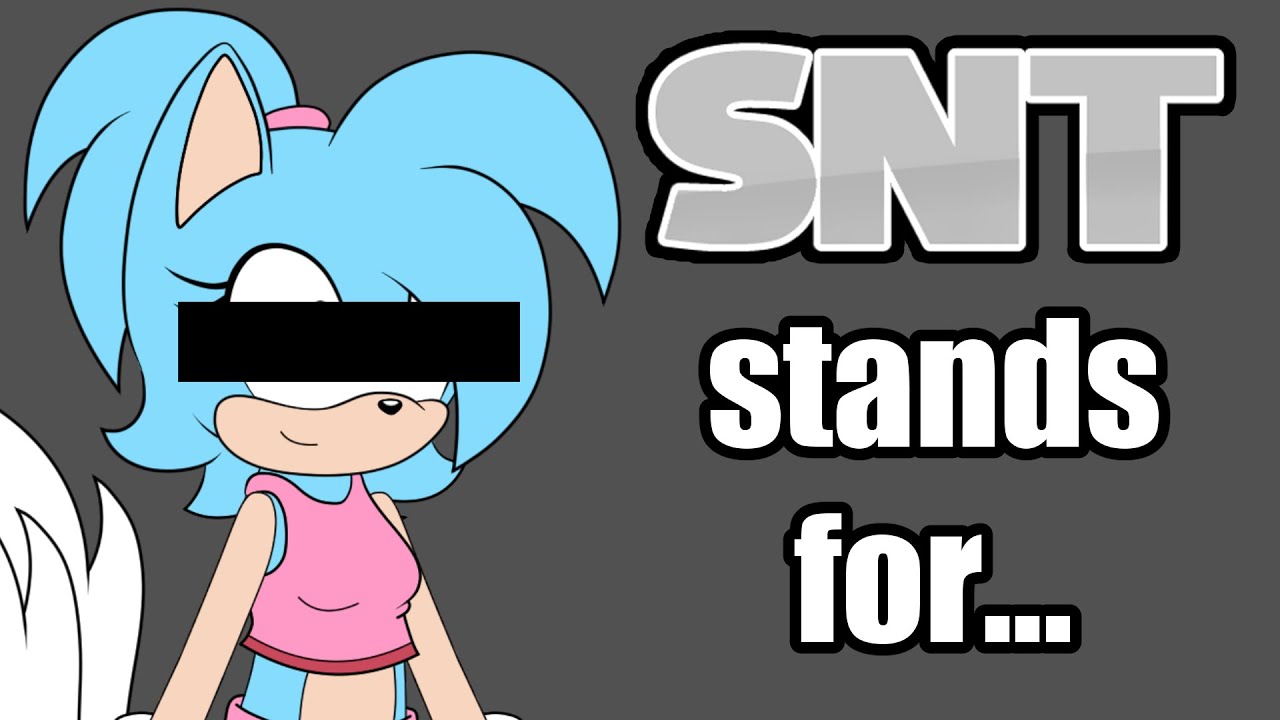 What does SNT stand for? - The story of how I created my Sonic OC