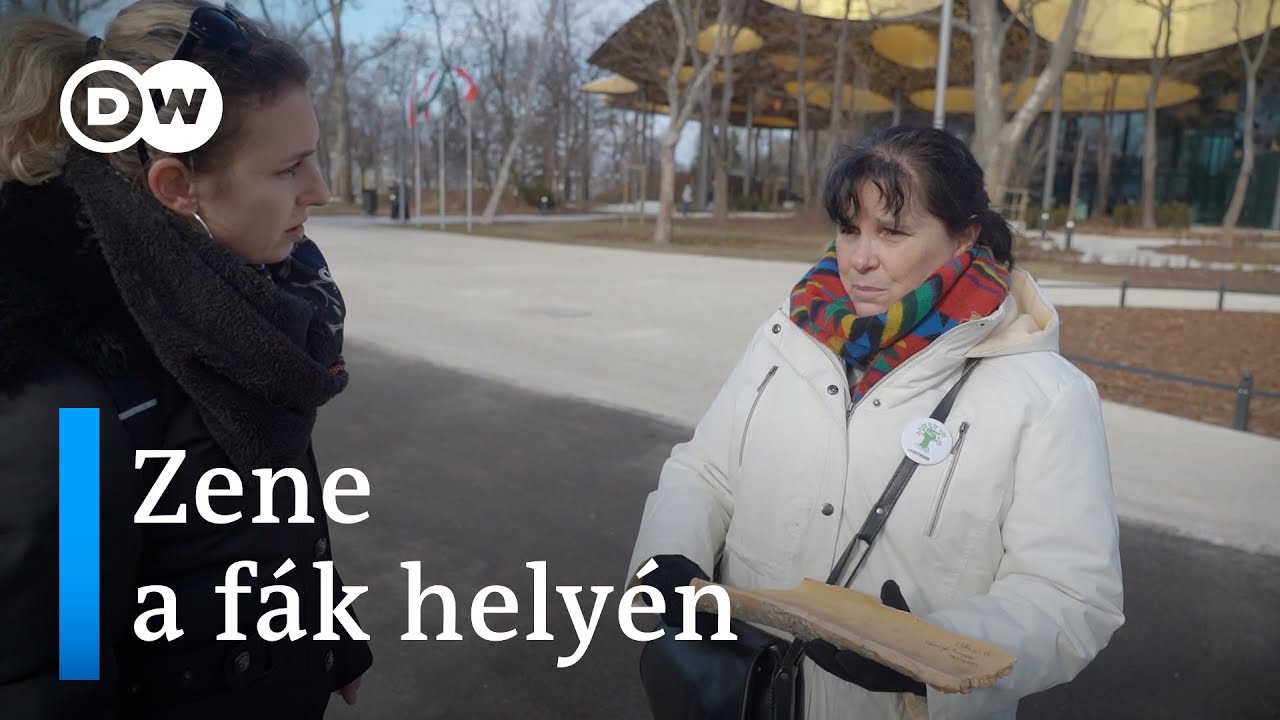 Ligetvédők a Magyar Zene Házánál: „Fizikailag fáj ezt látni” | Séta az új Városligetben