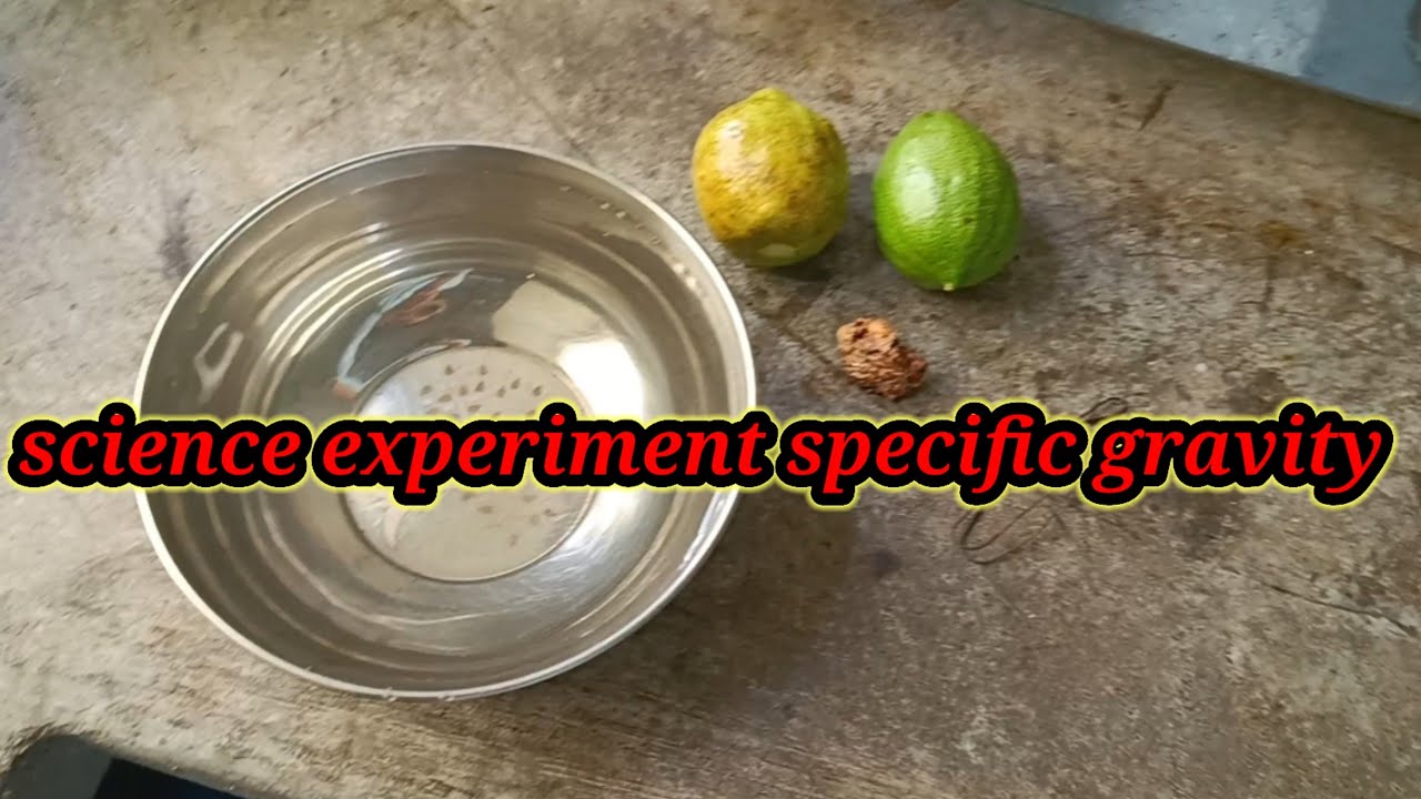 Science experiment with water and ginger specific gravity