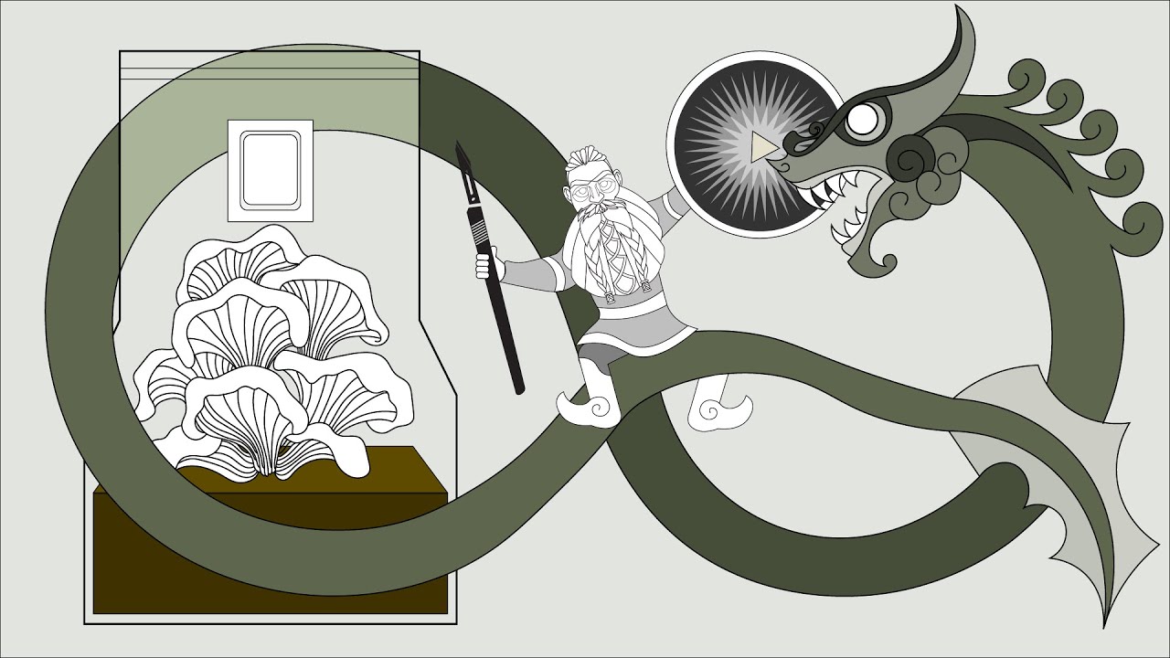 Unicorn Bags Explained : Mushroom Growing How To