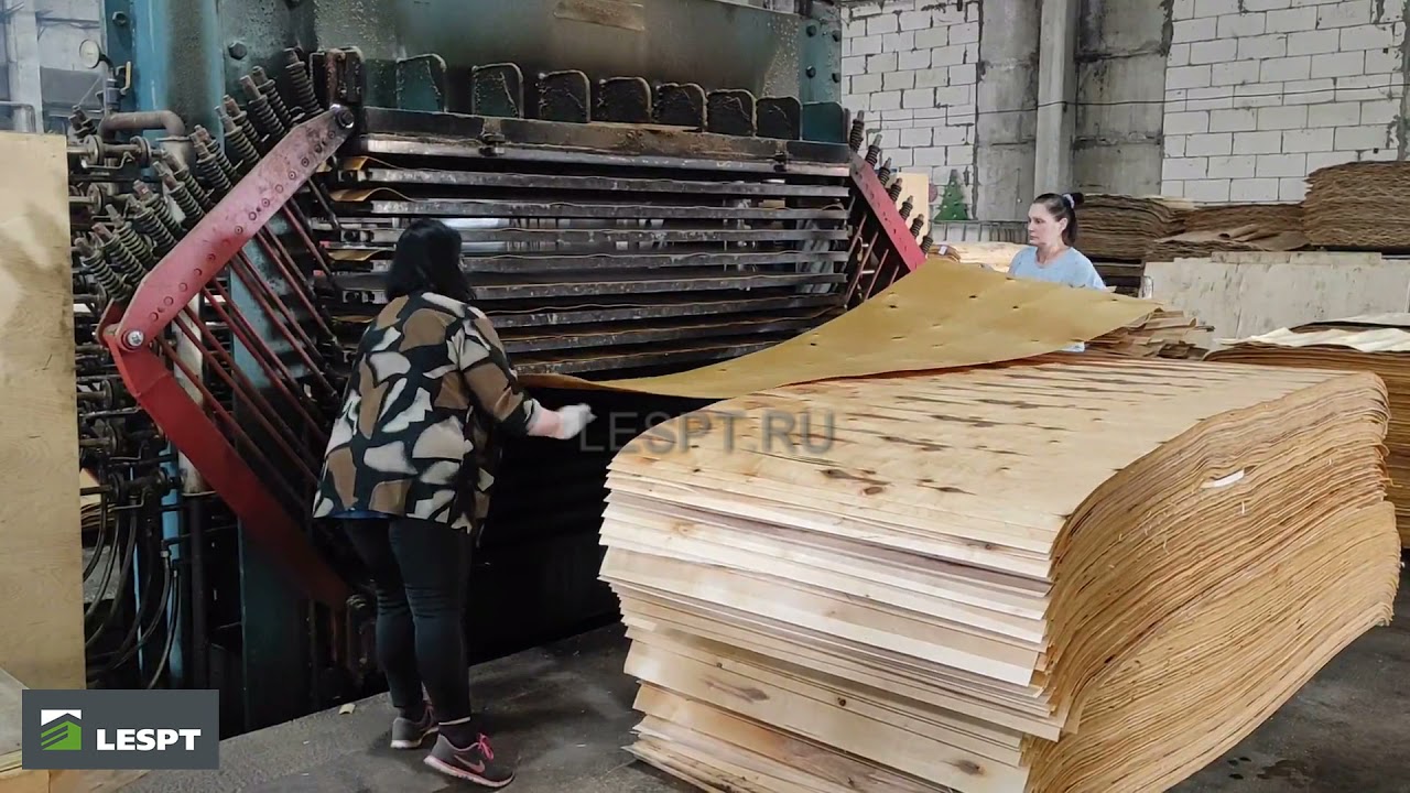 Линия производства фанеры (Нижегородская область, 2021 г.)