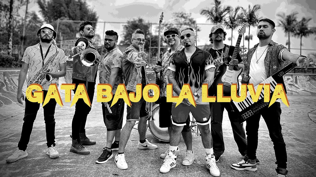 Los Tianguis - Gata bajo la lluvia (Visualizer)