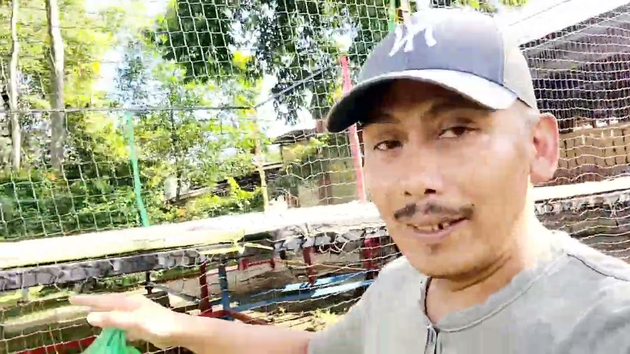 pekan baru empty zoo