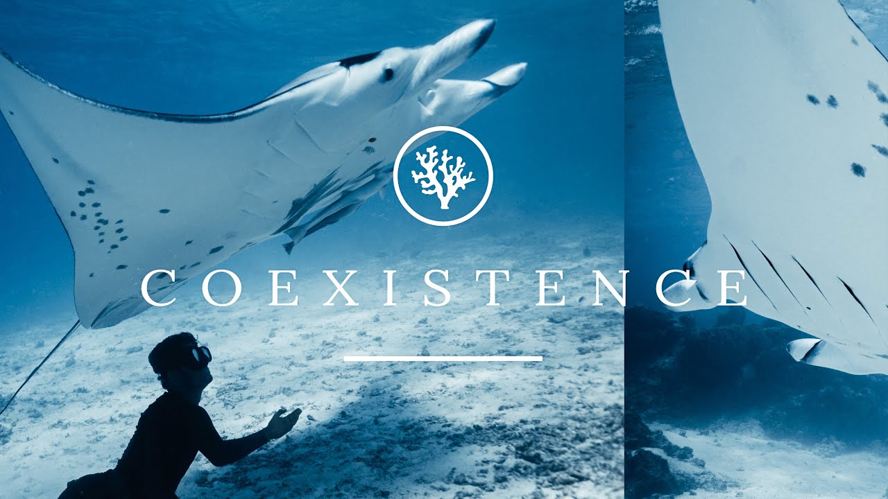 Coexistence