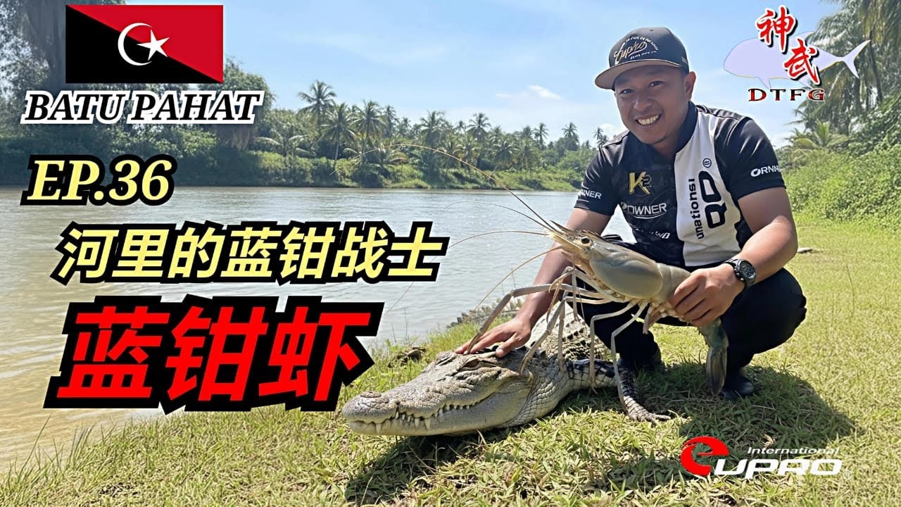 『 EP 36 河里的蓝钳战士 』