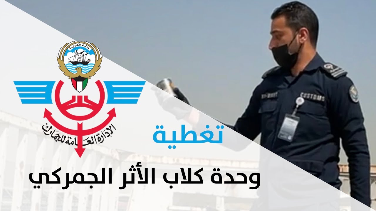 كلاب الاثر في جمارك الكويت وطريقة البحث عن المخدرات