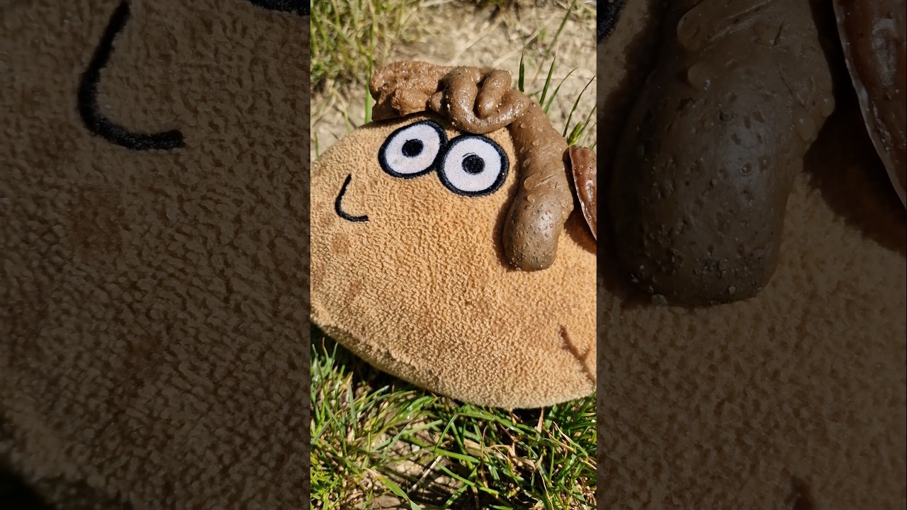 Pou got pooped on the head 😂💩 #pou #plushie #plushtoy