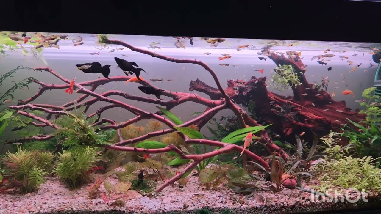 Zmiany w 208 L poligon