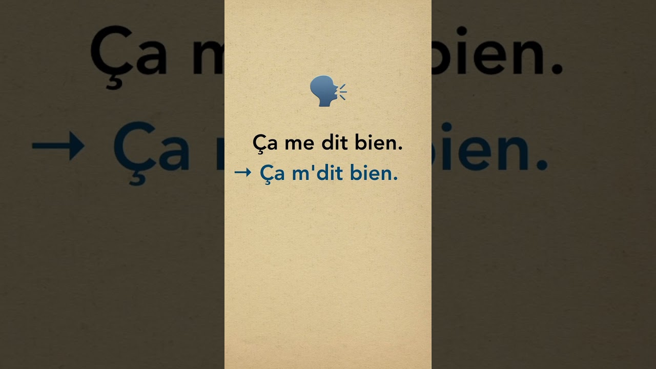 Ça me dit bien – French Expression | Learn French Everyday