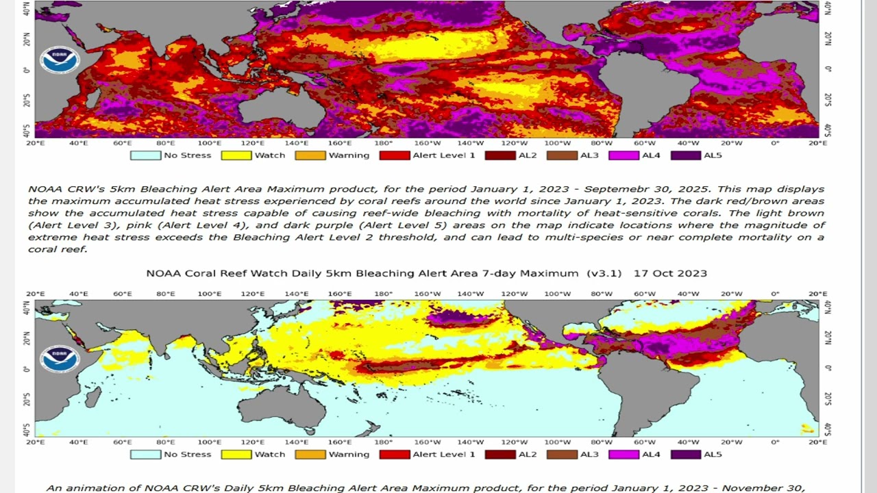 Coral Bleaching Presentation