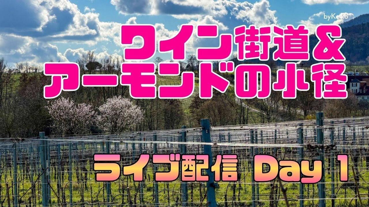 ライブ中継！Day 1 ドイツ・アーモンドの小道ハイキング(Mandelpfad) 4/7