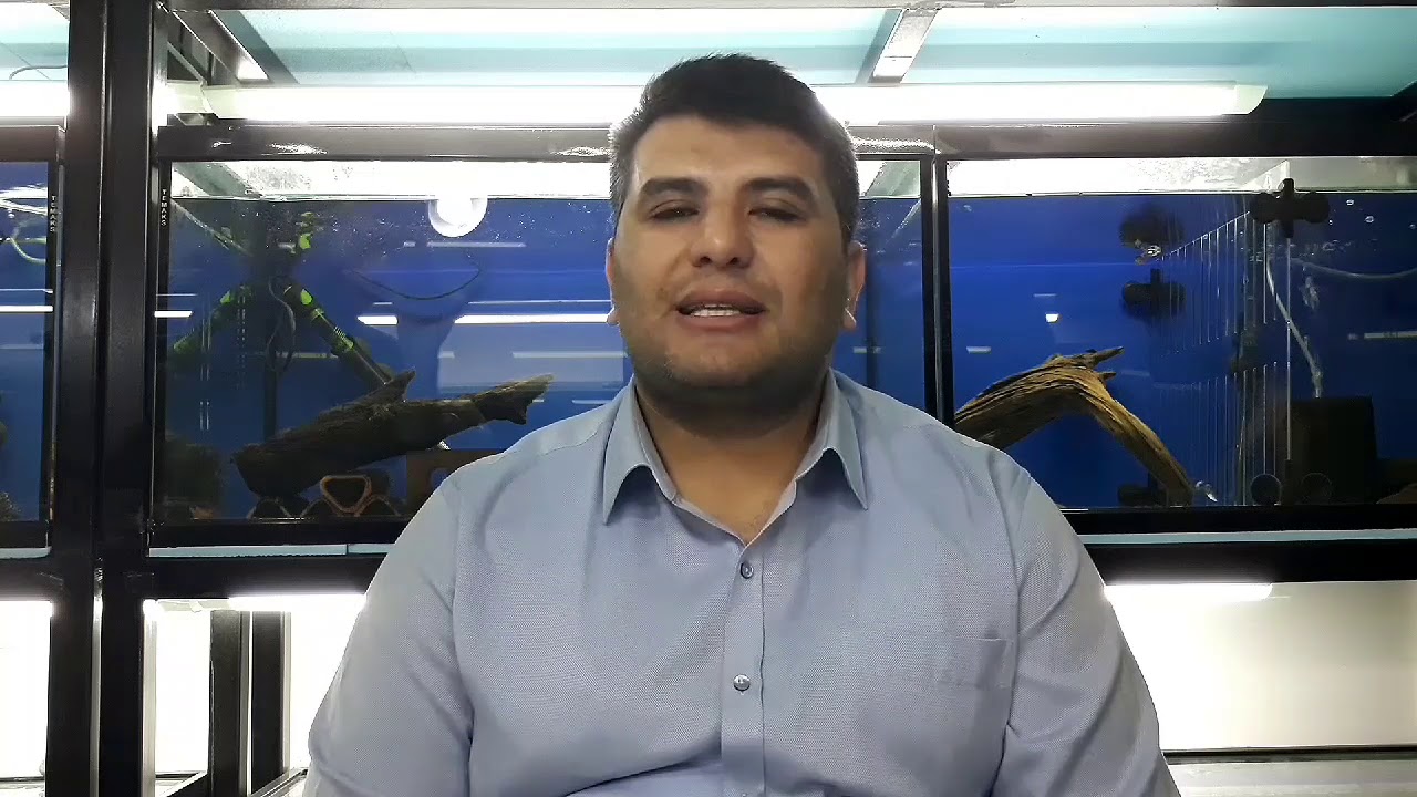 Vatozlarla İlgili Üstadından Genel Bilgiler