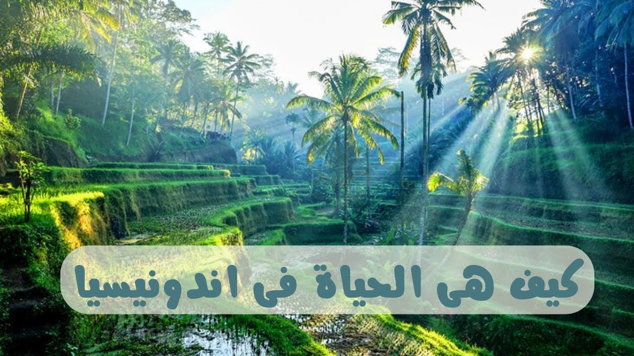 كيف هى الحياة فى اندونيسيا  هل اندونيسيا تستحق الهجرة اليها ؟
