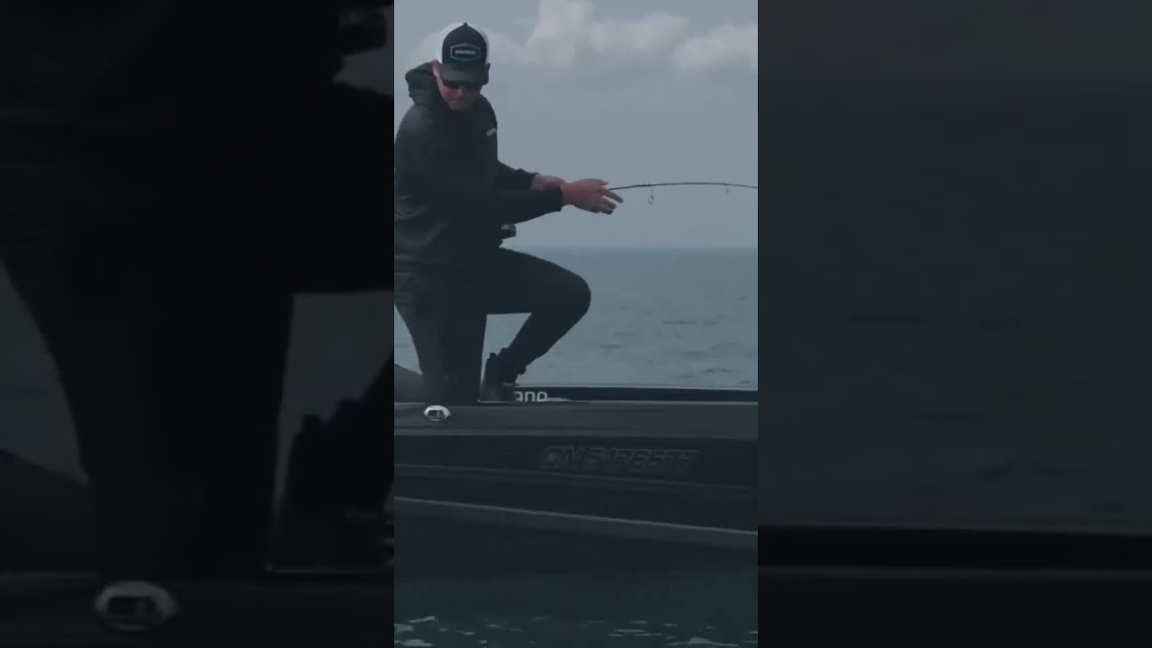 NOUVEAU VANFORD 🔥