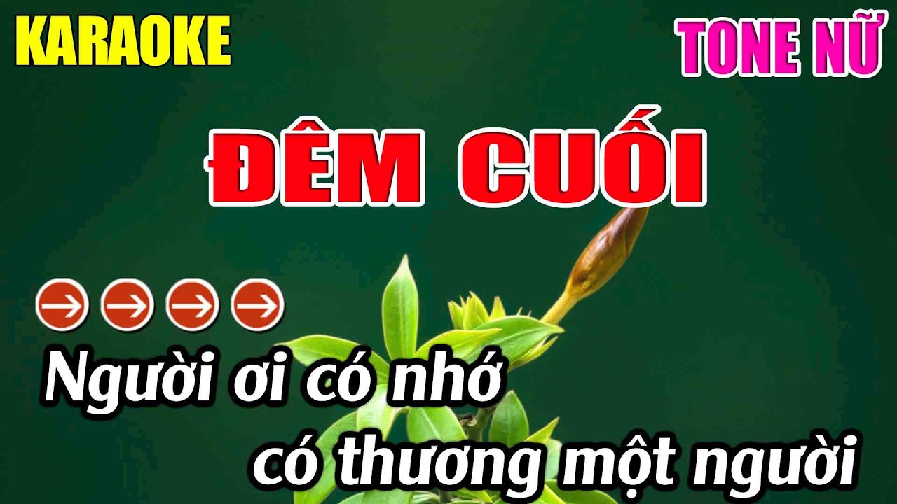 Đêm Cuối Karaoke Tone Nữ Karaoke Lâm Nhạc Sống 2026 -  Beat Chuẩn