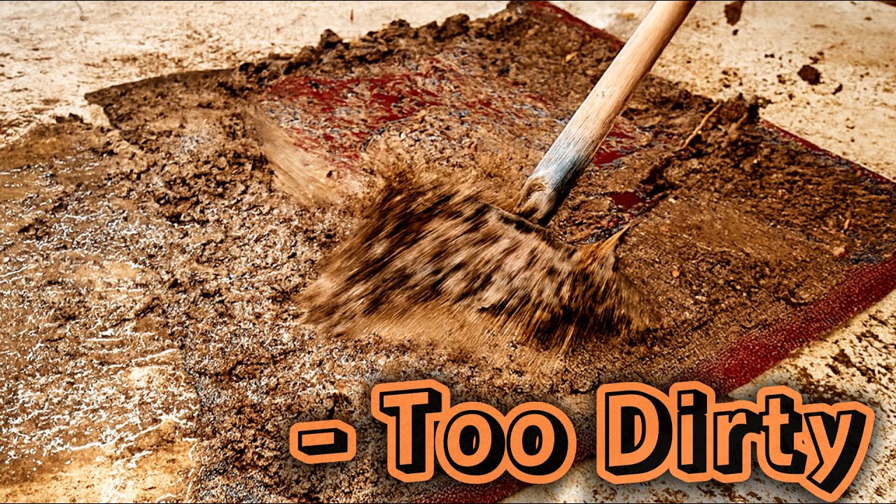 This Rug Was Gone… Until THIS Happened_Deep Cleaning ASMR