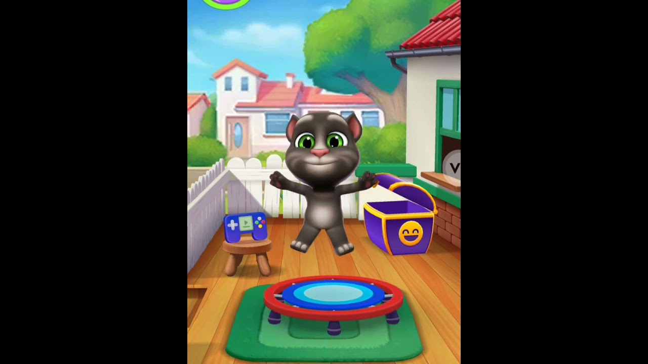 Chhoti si billi