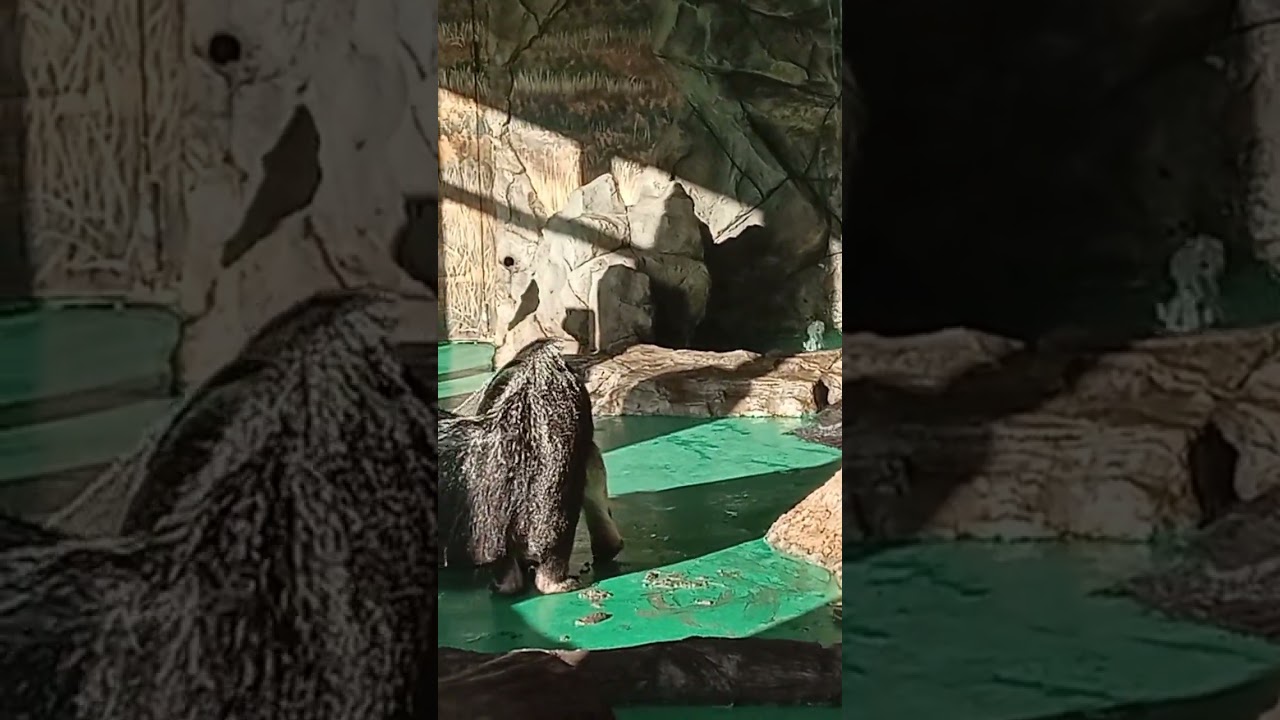 Чудо-юдо!