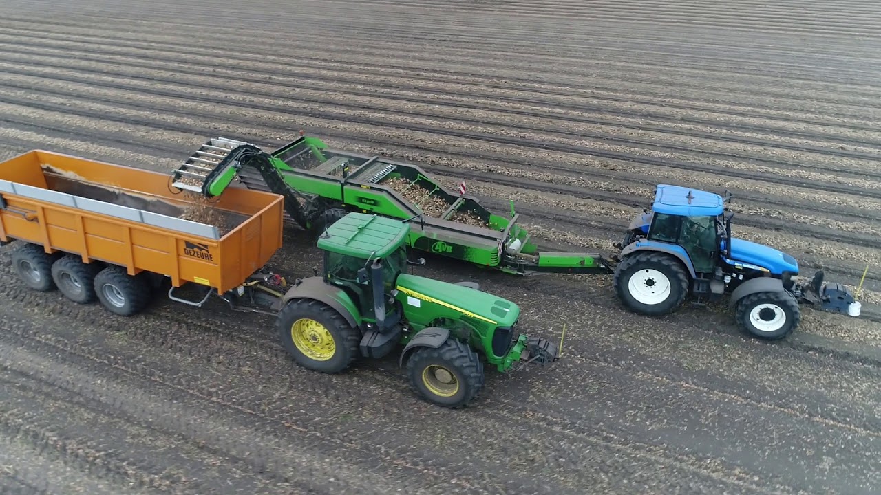 Onion harvesting