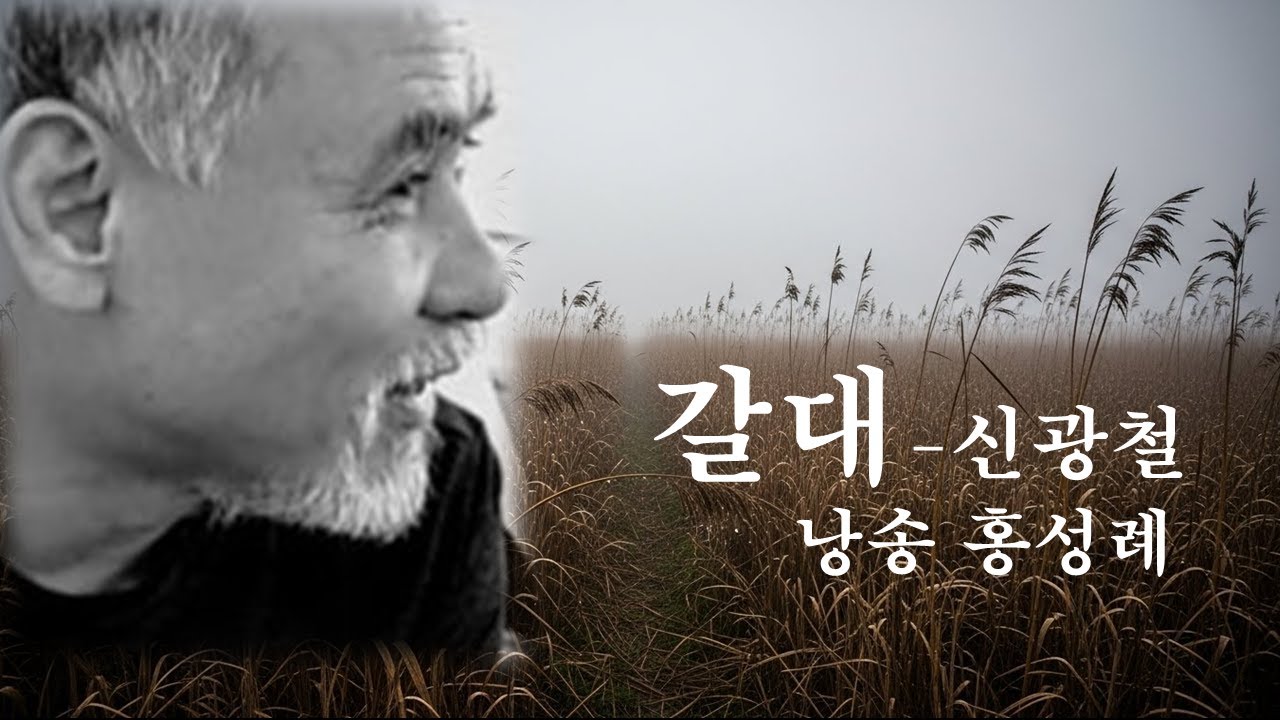 갈대-신광철/ 낭송 홍성례