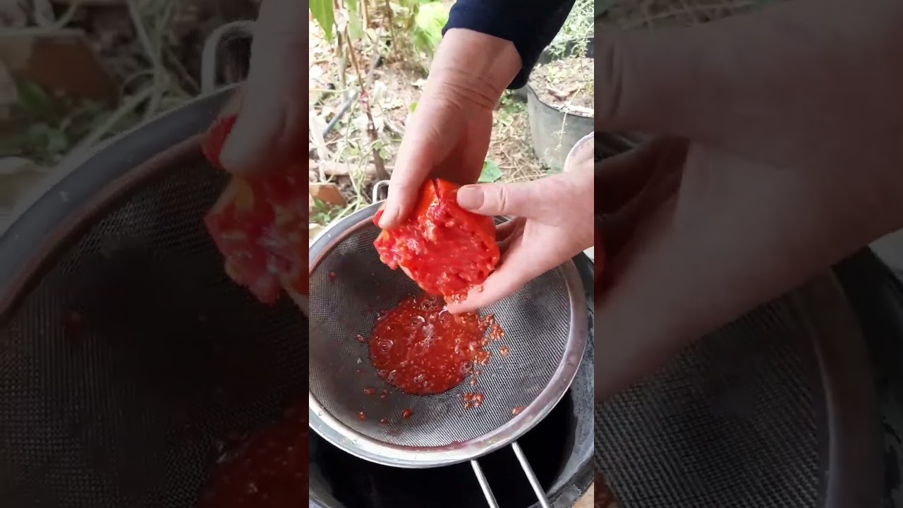 Domates(Ata) tohumu nasıl alınır.