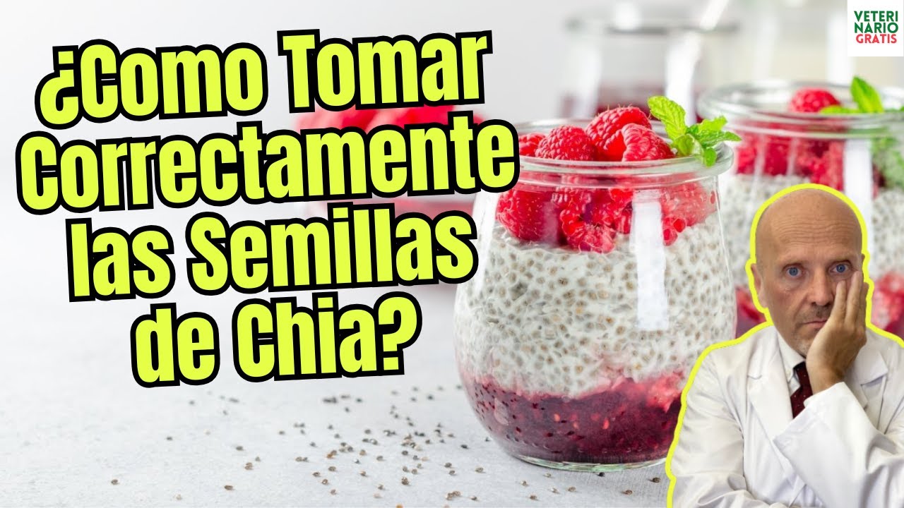🌱✨ &iexcl;SECRETO REVELADO! 🤫 &iquest;C&Oacute;MO TOMAR SEMILLAS de CH&Iacute;A para que FUNCIONEN BIEN? 💪 &iexcl;M&aacute;ximos BENEFICIOS!