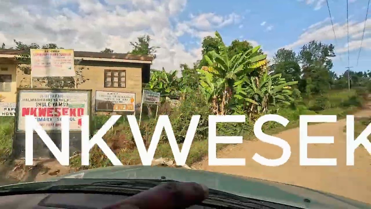 Trip to Machame