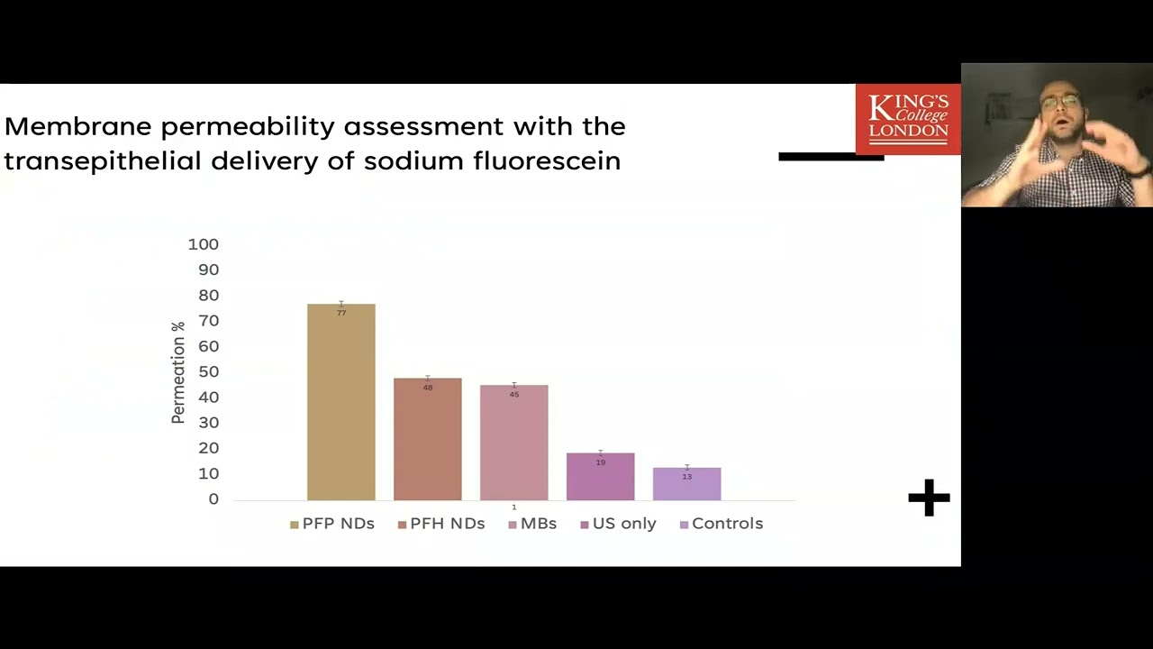 Stavros Vlatakis: In Vitro BBB Model for Permeability Assessment of Fluorescent Molecules