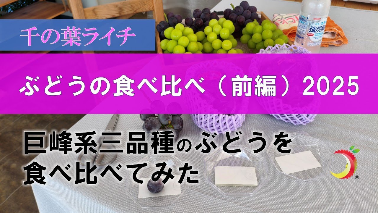 【ぶどうの食べ比べ（前編）2025】巨峰系三品種を食べ比べてみた
