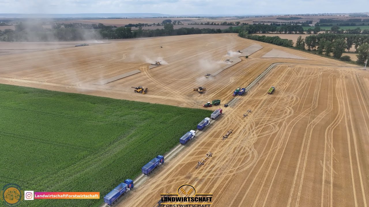 8 Mähdrescher im Kampf gegen die Anziehende Regenfront! Großeinsatz Getreideernte in Thüringen 2025